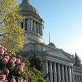 Washington Capitol